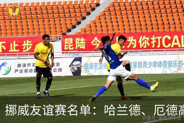 挪威友谊赛名单：哈兰德、厄德高领衔